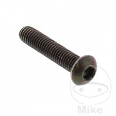 Brake disc screw OEM M6X1.0 MM 717.04.63