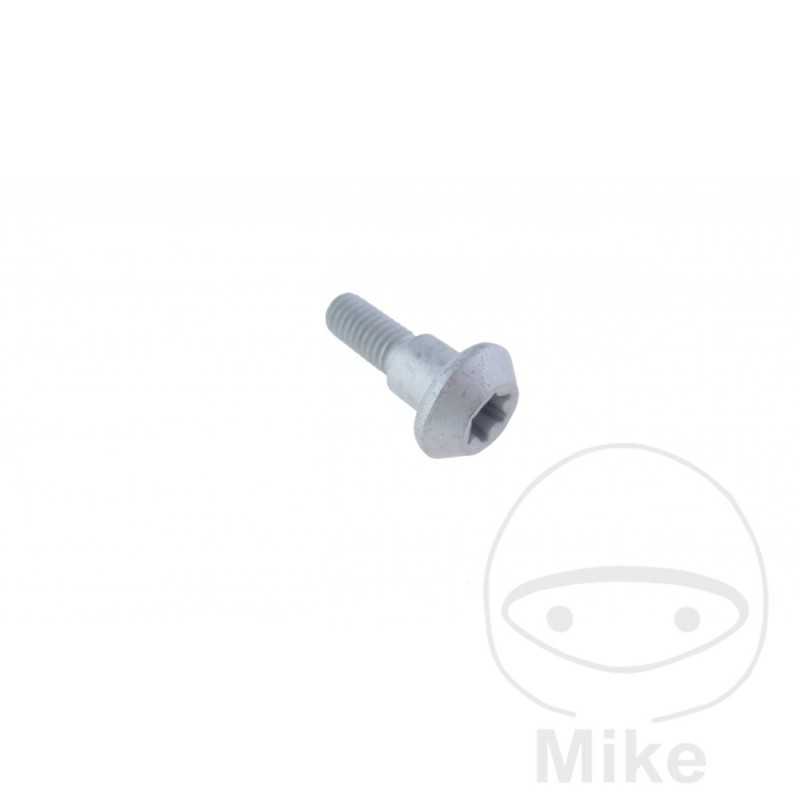 Tornillo para disco de freno OEM M6X1.0 20 MM 717.05.19
