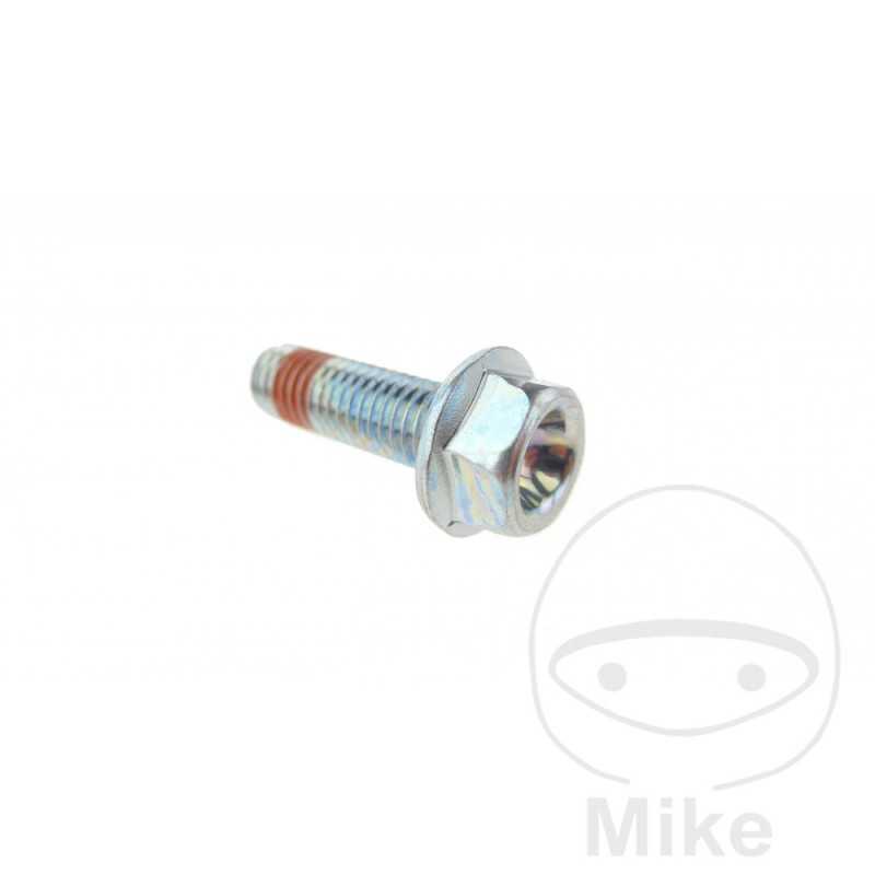 Tornillo pinza freno OEM M8 X 1.25 25 MM 717.08.77