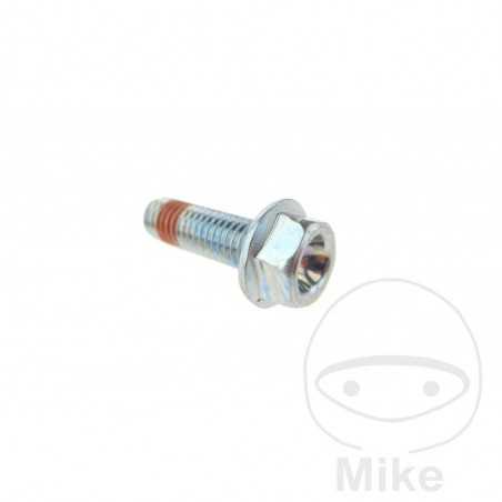 Brake caliper screw OEM M8 X 1.25 25 MM 717.08.77