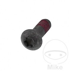 Tornillo para disco de freno M8X1.25 25 MM 717.16.61