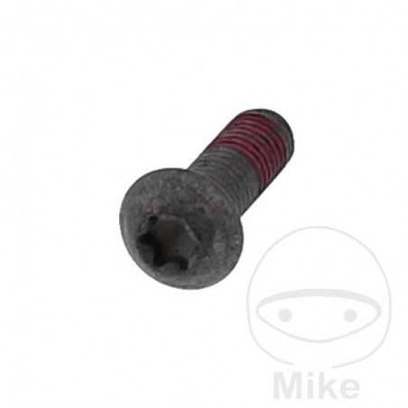 Tornillo para disco de freno M8X1.25 25 MM 717.16.61