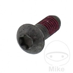 Tornillo para disco de freno M8X1.25 20 MM 717.16.62
