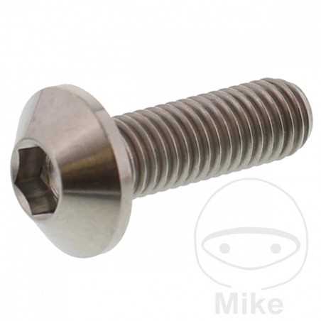 JMP Tornillo para disco de freno M8X1.25 MM 25 TITAN 775.86.45
