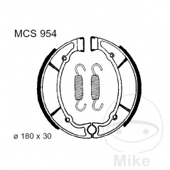 TRW Zapatas de freno con muelle ALTN: 7328255 786.04.06