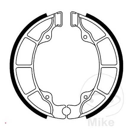 TRW Zapatas de freno sin muelle ALTN: 7325053 786.07.03