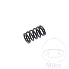 brake caliper spring 717.15.89