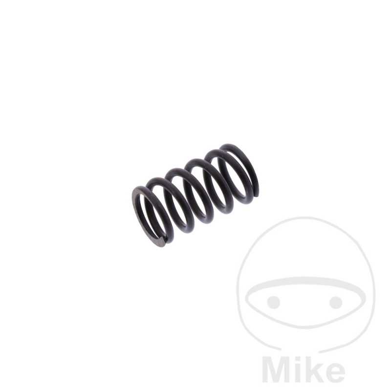 brake caliper spring 717.15.89