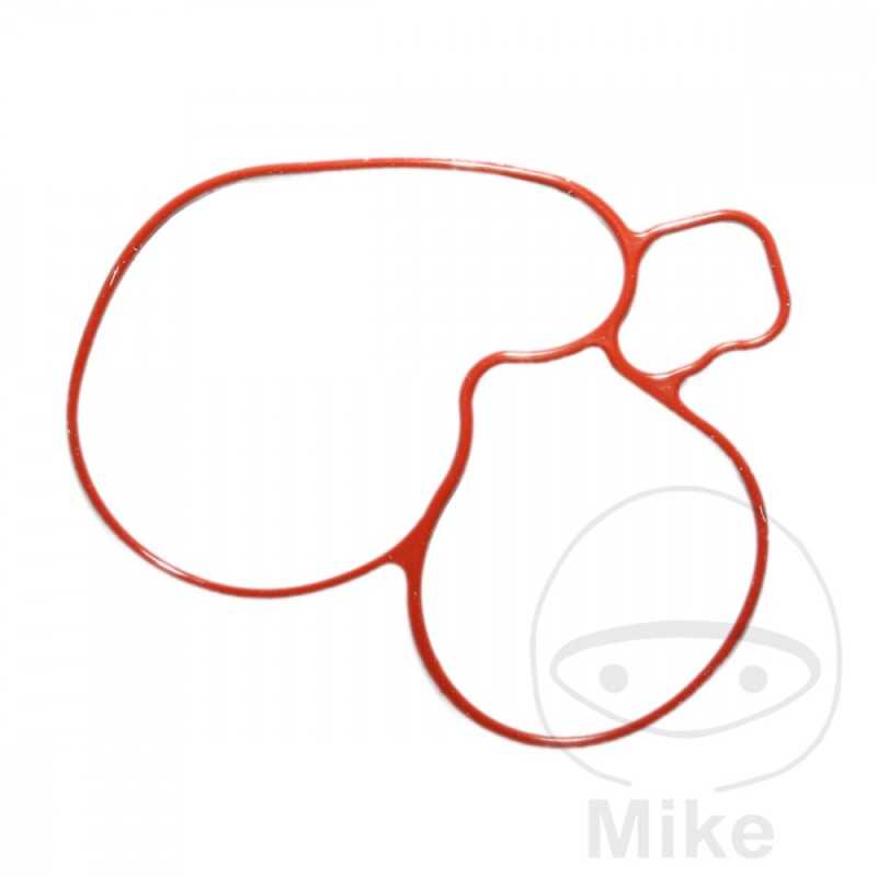 ATHENA Water pump cover gasket 734.06.82