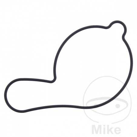 ATHENA Water pump cover gasket 734.20.91