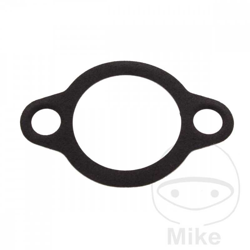 Timing chain tensioner gasket OEM 734.33.80