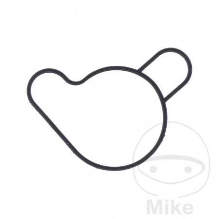 ATHENA Water pump cover gasket 734.63.96