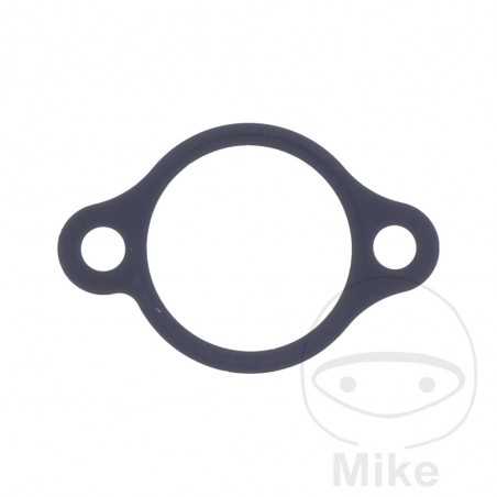 ATHENA Timing chain tensioner gasket 734.64.24