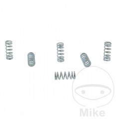 TRW Kit 6 reinforced clutch springs 738.00.56
