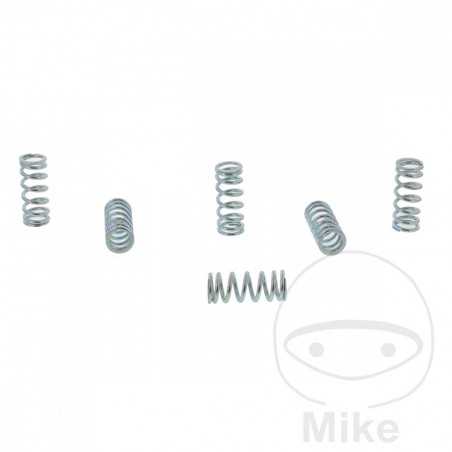 TRW Kit 6 muelles de embrague reforzados 738.00.56