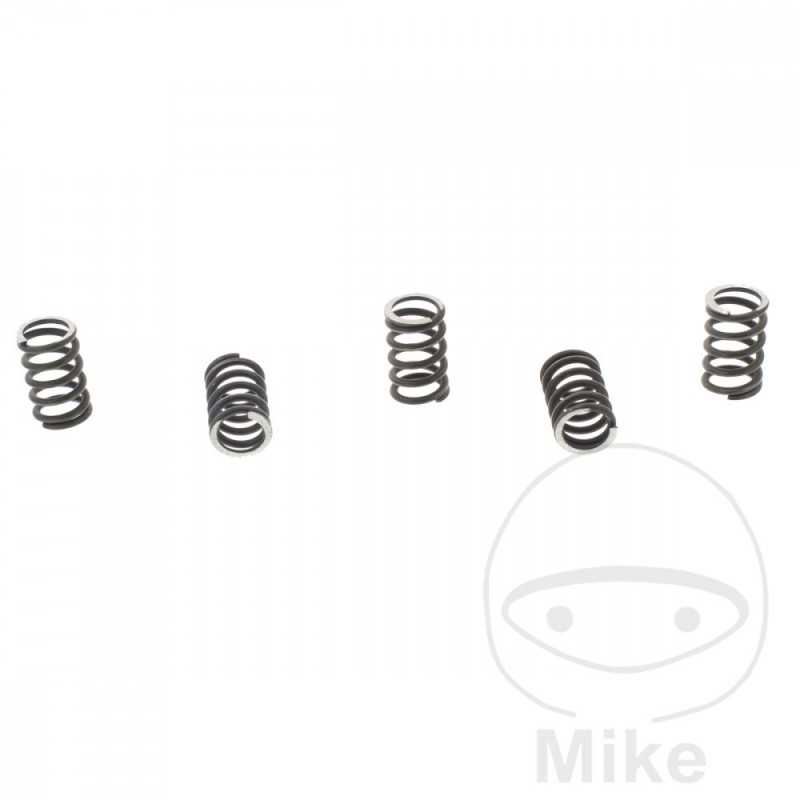 TRW Kit 5 reinforced clutch springs 738.00.64