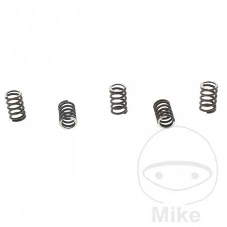 TRW Kit 5 reinforced clutch springs 738.00.64