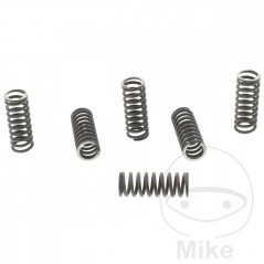 TRW Kit 6 muelles de embrague reforzados 738.00.68