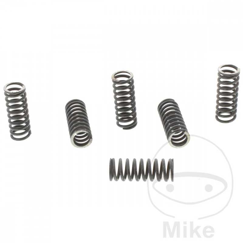 TRW Kit 6 muelles de embrague reforzados 738.00.68