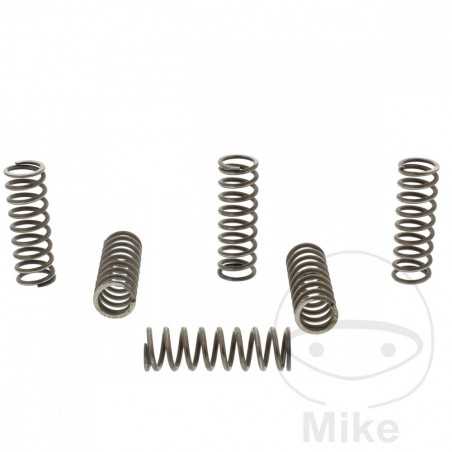 TRW Kit 6 reinforced clutch springs 738.00.73