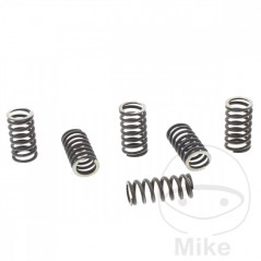 TRW Kit 6 muelles de embrague reforzados 738.00.79