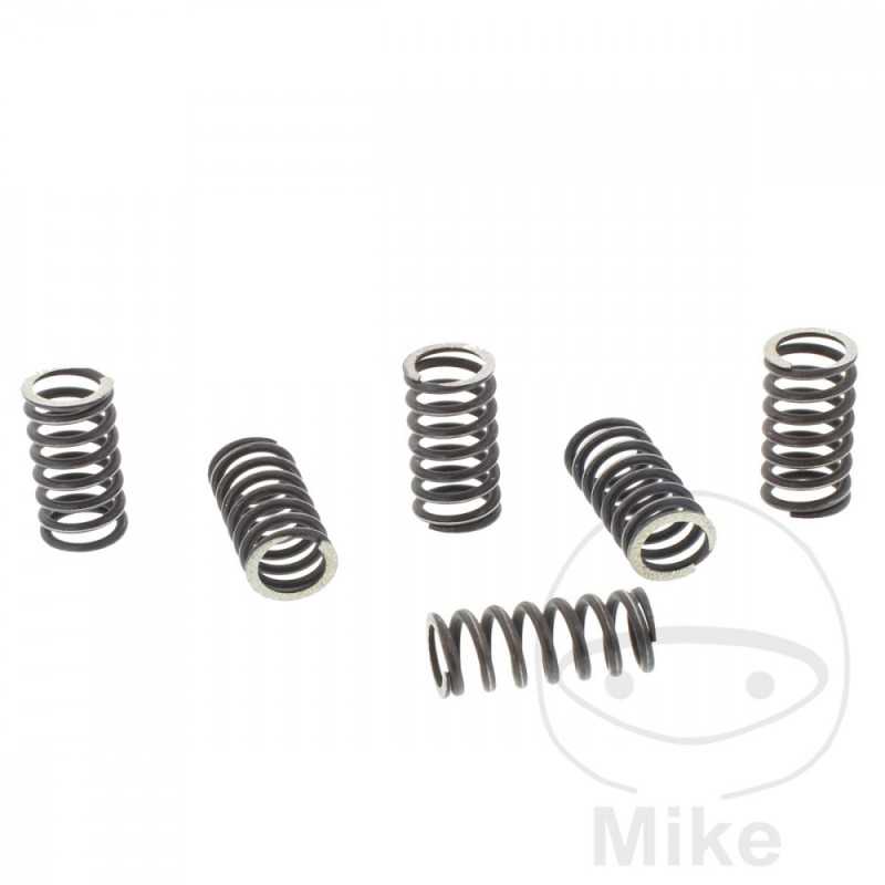 TRW Kit 6 muelles de embrague reforzados 738.00.79