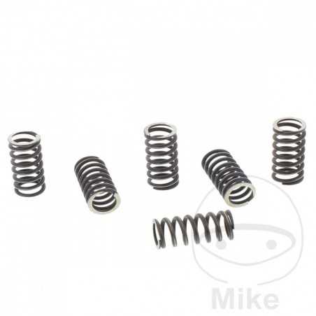 TRW Kit 6 reinforced clutch springs 738.00.79