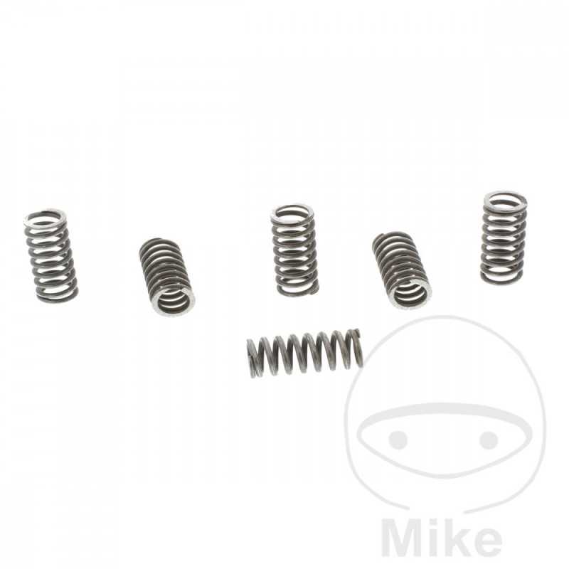 TRW Kit 6 muelles de embrague reforzados 738.00.80