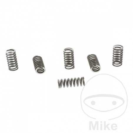 TRW Kit 6 reinforced clutch springs 738.00.80