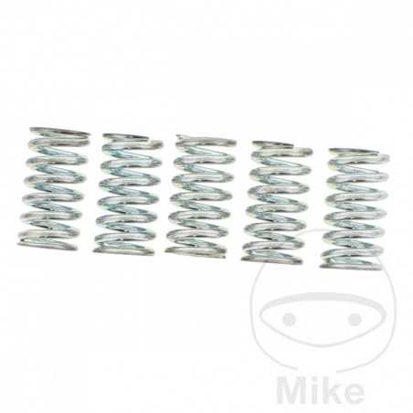 TRW Kit 5 muelles de embrague reforzados 738.03.57