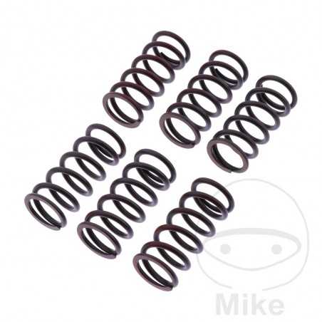 TRW Kit 6 reinforced clutch springs 738.05.23