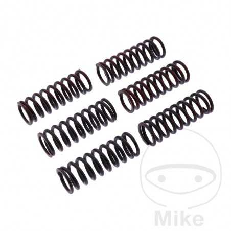 TRW Kit 6 reinforced clutch springs 738.05.25