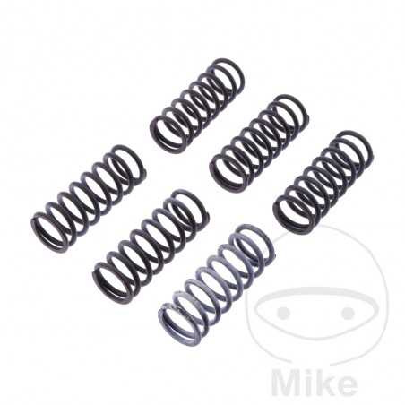 TRW Kit 6 reinforced clutch springs 738.05.26