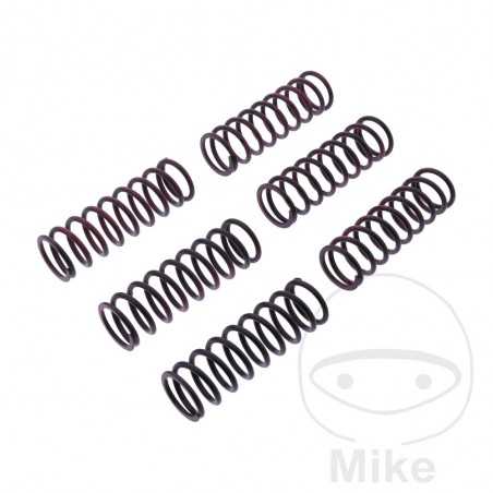 TRW Kit 6 reinforced clutch springs 738.05.27