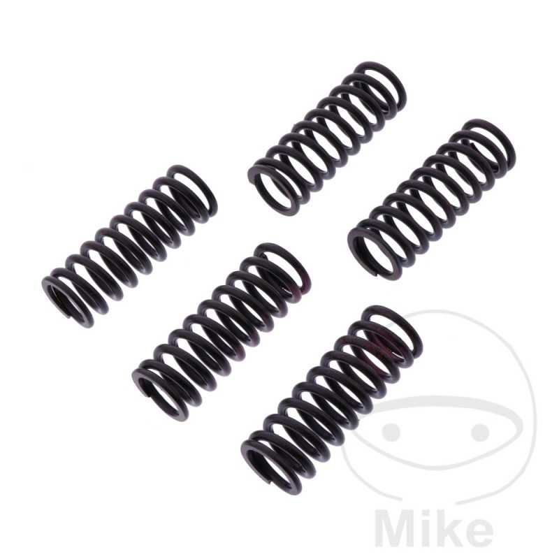 TRW Kit 5 reinforced clutch springs 738.05.29