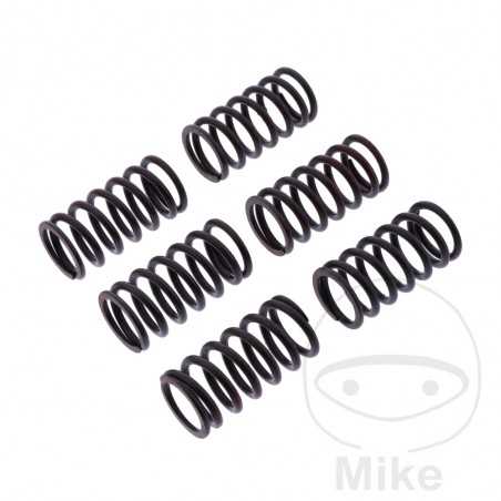 TRW Kit 6 reinforced clutch springs 738.05.31