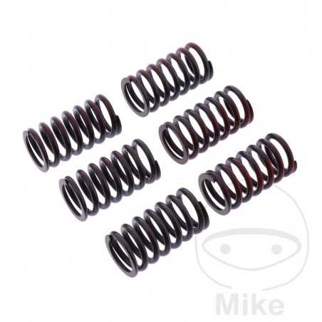 TRW Kit 6 reinforced clutch springs 738.05.48