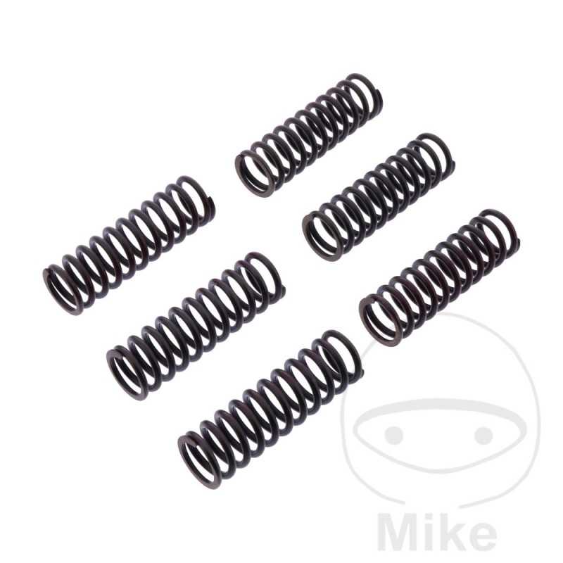 TRW Kit 6 reinforced clutch springs 738.05.54