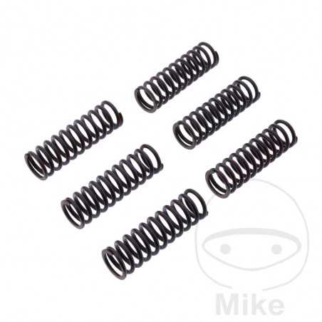 TRW Kit 6 reinforced clutch springs 738.05.54