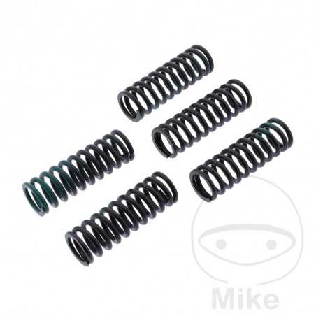 TRW Kit 5 reinforced clutch springs 738.06.10