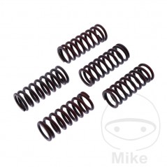 TRW Kit 5 reinforced clutch springs 738.06.11