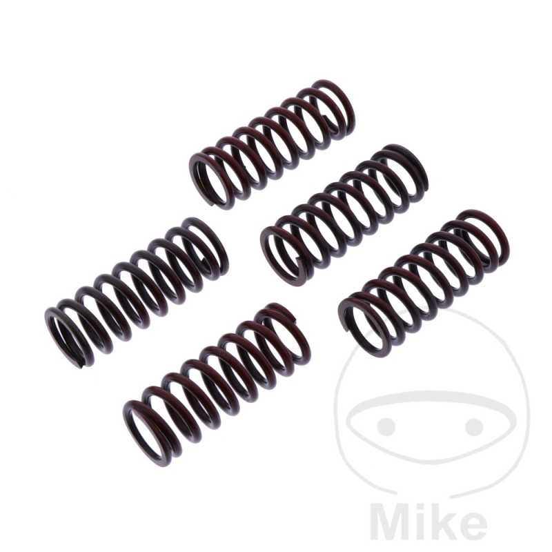 TRW Kit 5 reinforced clutch springs 738.06.11