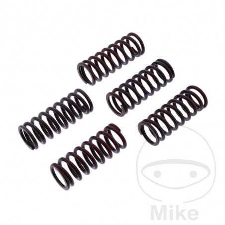 TRW Kit 5 reinforced clutch springs 738.06.11