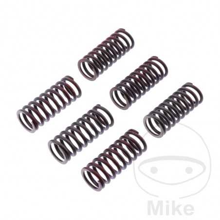 TRW Kit 6 reinforced clutch springs 738.06.13