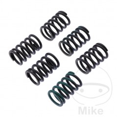 TRW Kit 6 reinforced clutch springs 738.06.15