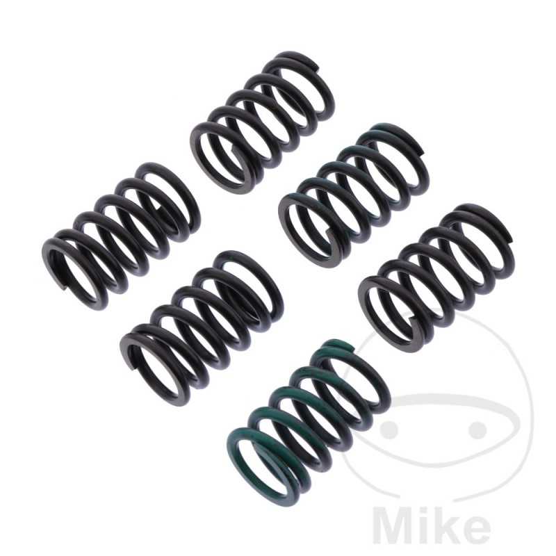 TRW Kit 6 reinforced clutch springs 738.06.15