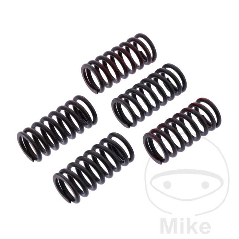TRW Kit 5 reinforced clutch springs 738.06.16