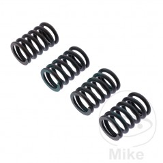 TRW Kit of 4 reinforced clutch springs 738.06.18