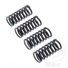 TRW Kit of 4 reinforced clutch springs 738.06.20