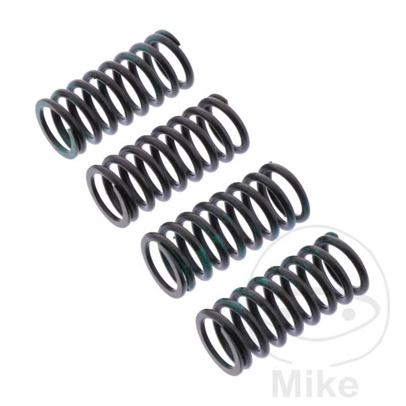 TRW Kit of 4 reinforced clutch springs 738.06.20